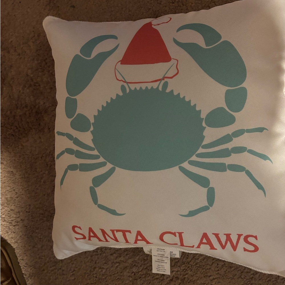 Santa Claws Holiday Pillow - Red and Green